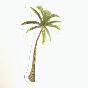 Palm Tree Vinyl Sticker
